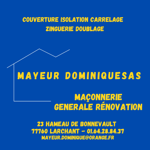 DOMINIQUE MAYEUR SAS